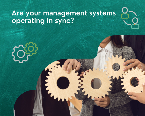 Integrated Management System Implementation | zest io